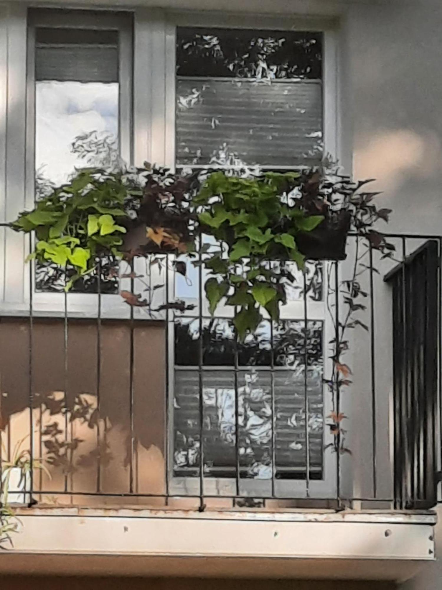Apartament Jak W Domu #N/A Exterior photo